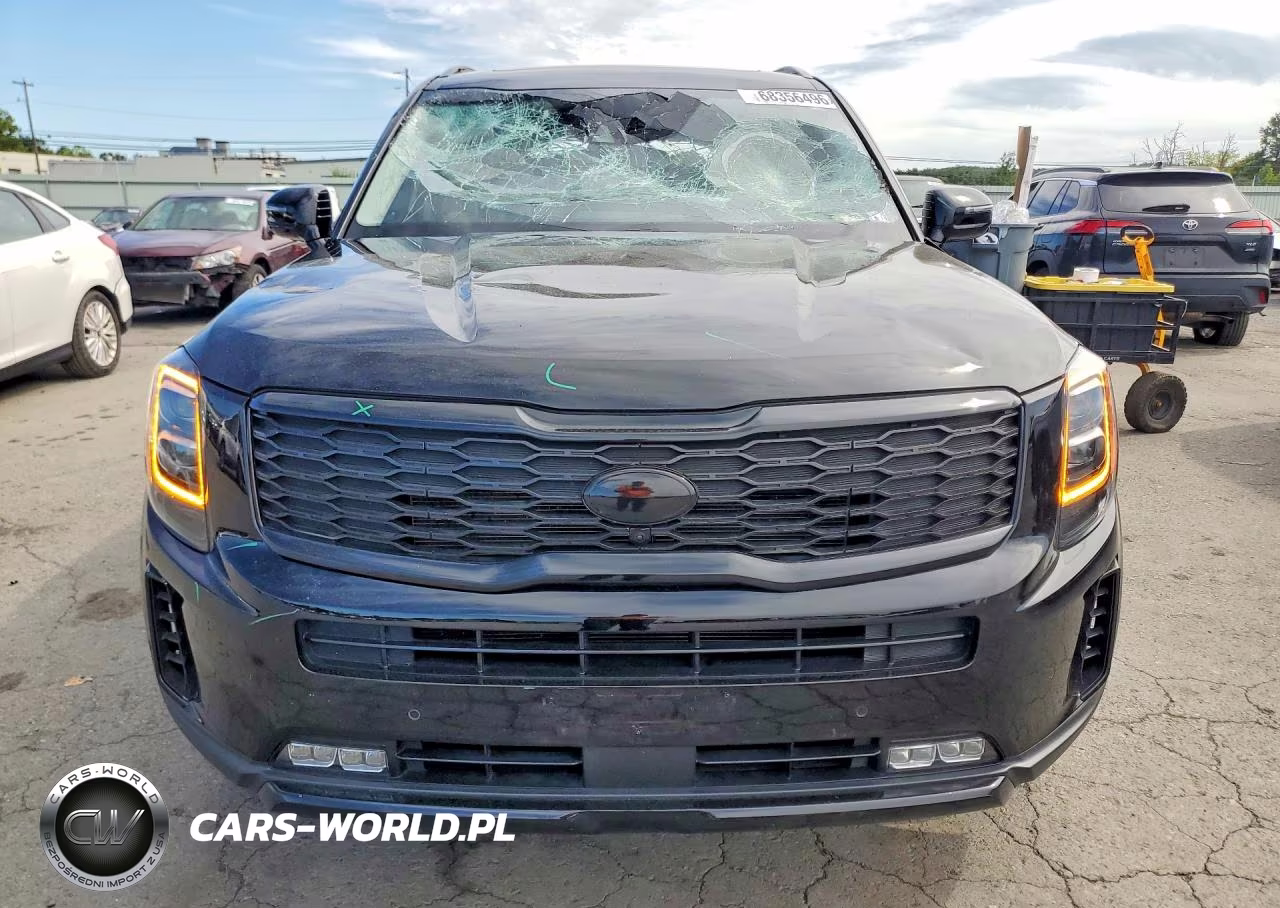 2021 Kia Telluride Sx VIN:5XYP5DHCXMG167259 - 5