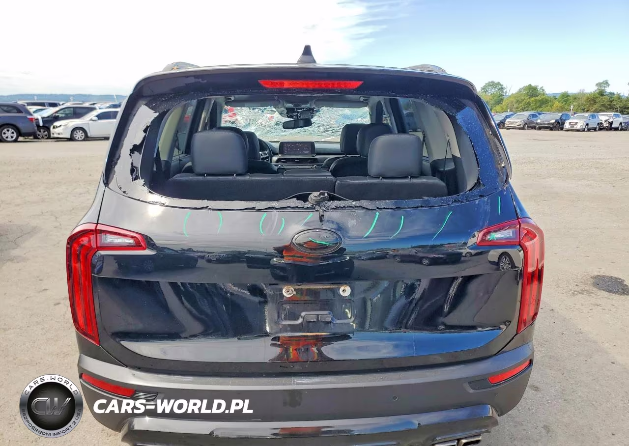 2021 Kia Telluride Sx VIN:5XYP5DHCXMG167259 - 6