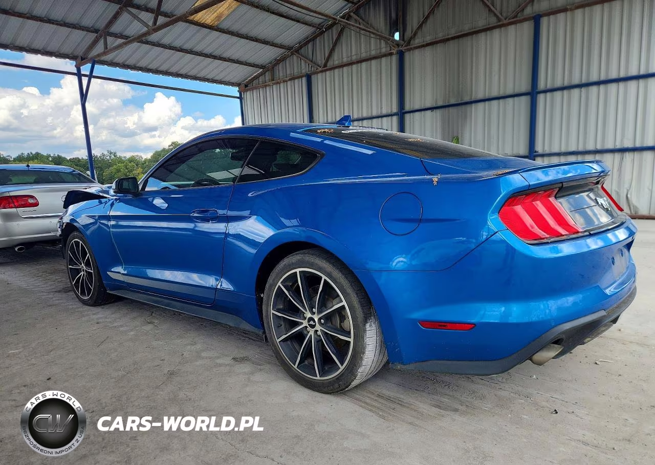 2020 Ford Mustang VIN:1FA6P8TH8L5170710 - 2
