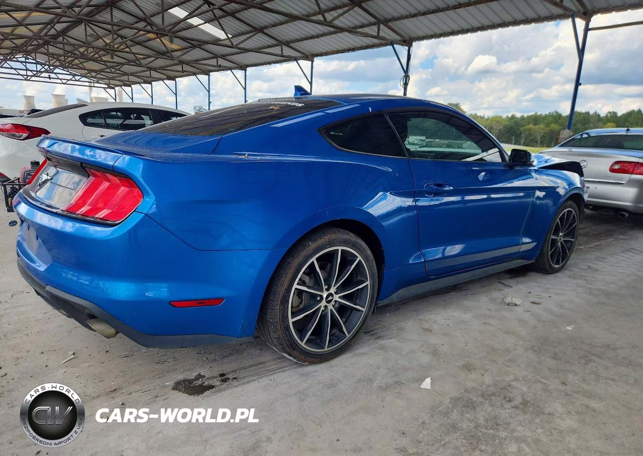 2020 Ford Mustang VIN:1FA6P8TH8L5170710 - 3