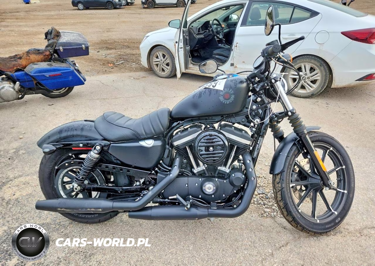 2019 Harley-Davidson Xl883 N – zdjęcie 1 z 9