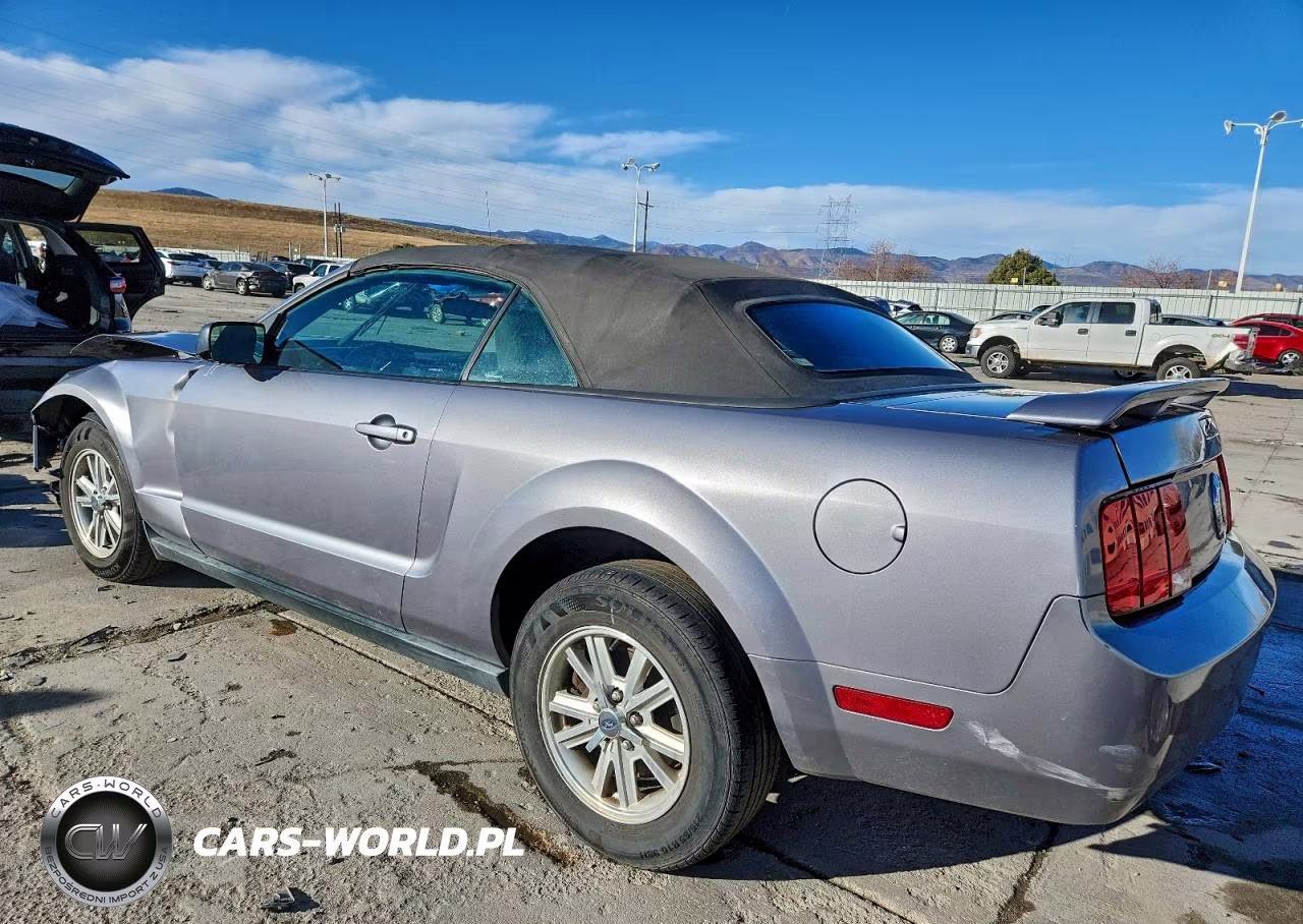 2006 Ford Mustang VIN:1ZVFT84N065220270 - 2