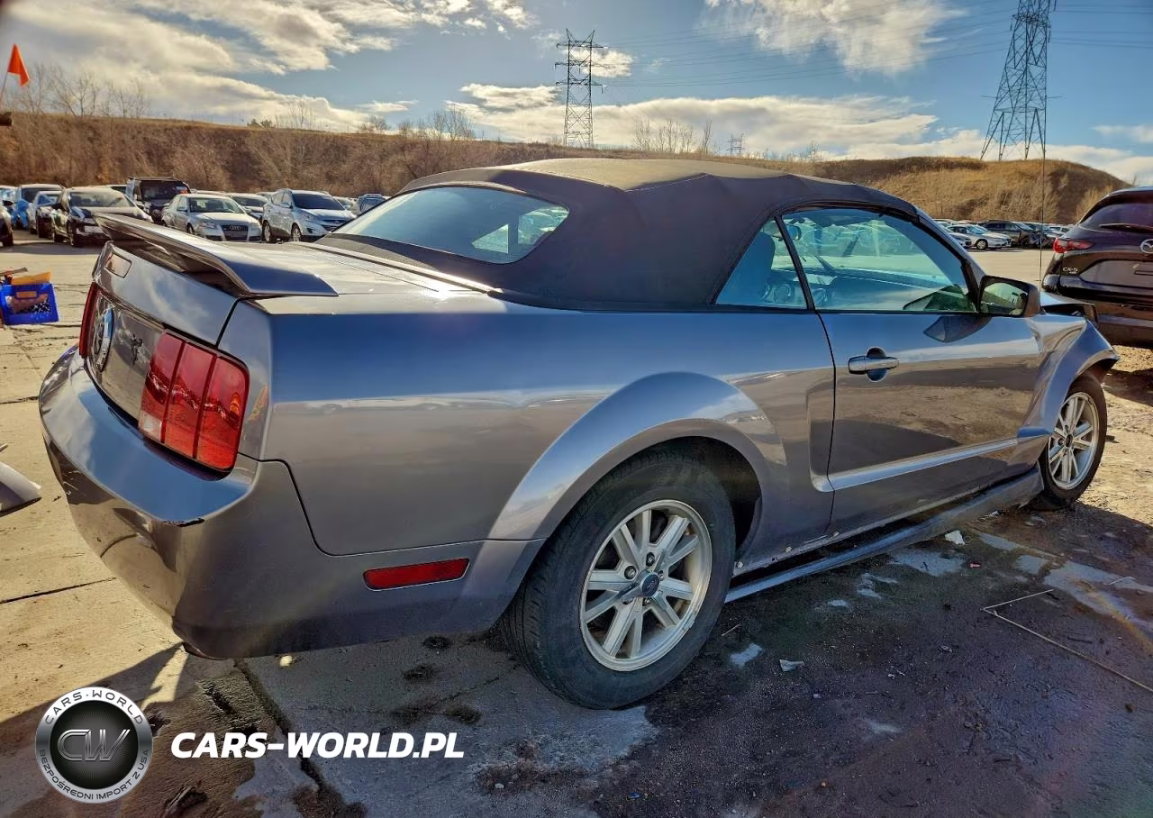 2006 Ford Mustang VIN:1ZVFT84N065220270 - 3