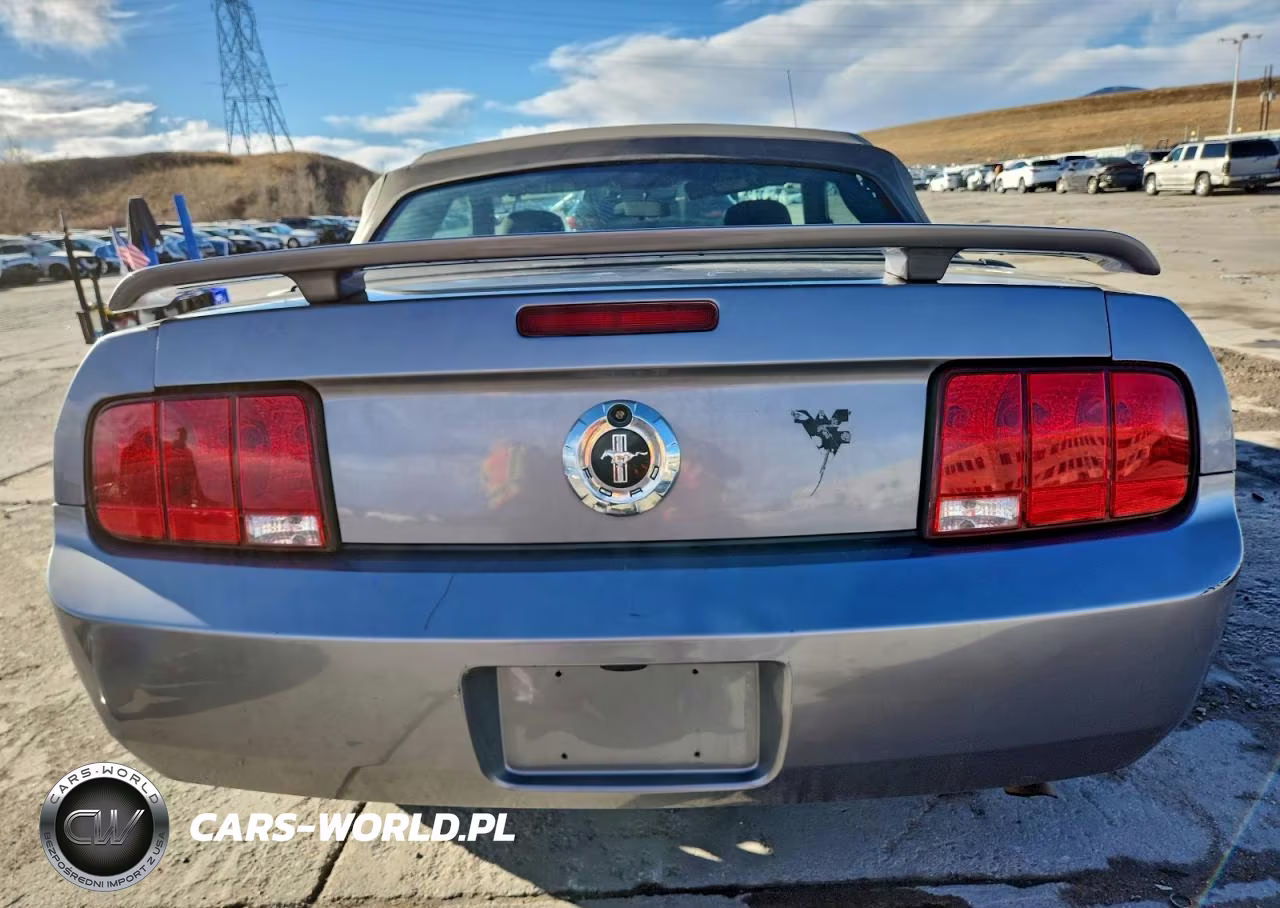 2006 Ford Mustang VIN:1ZVFT84N065220270 - 6