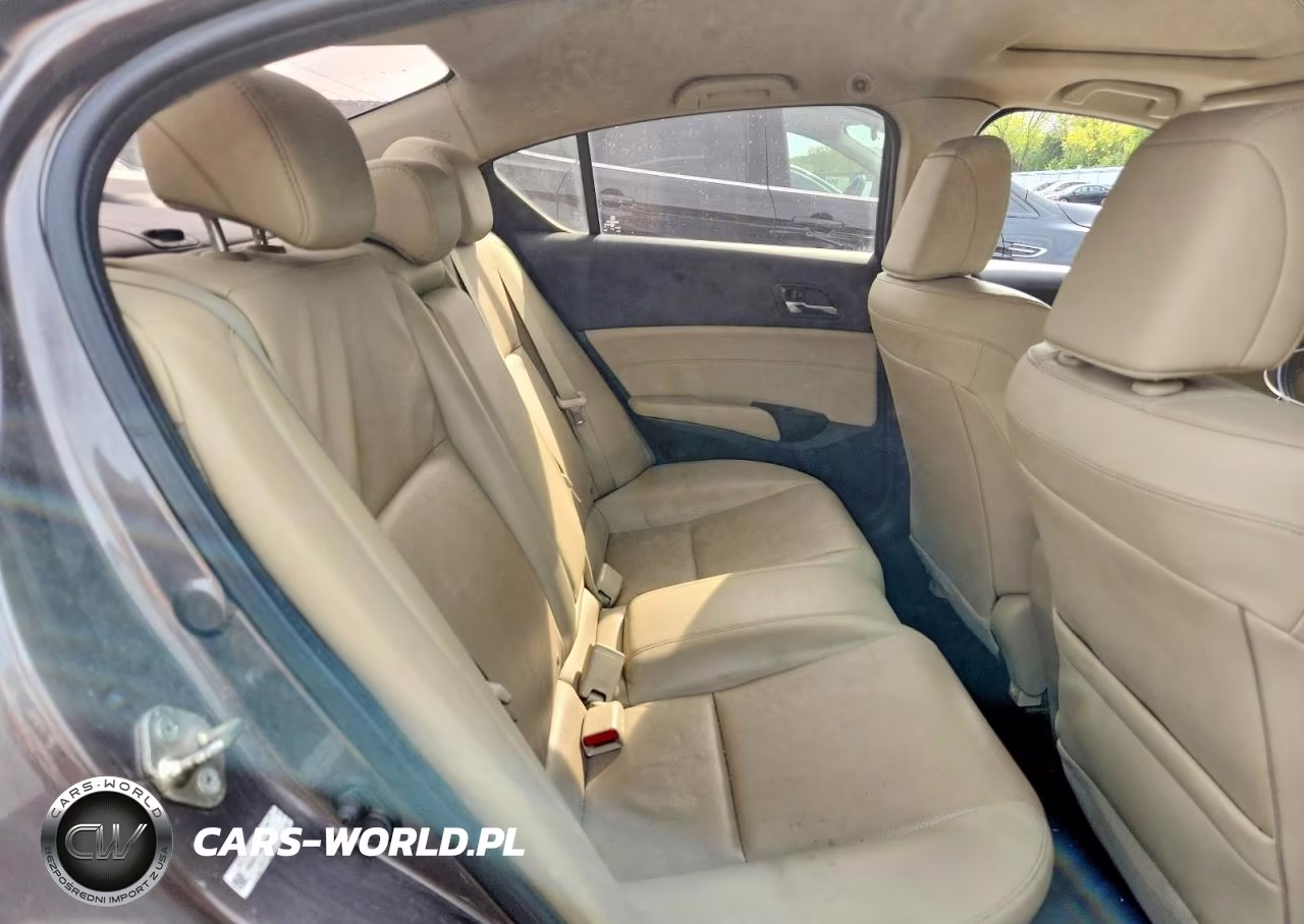 2013 Acura Ilx 20 Premium VIN:19VDE1F53DE009115 - 10