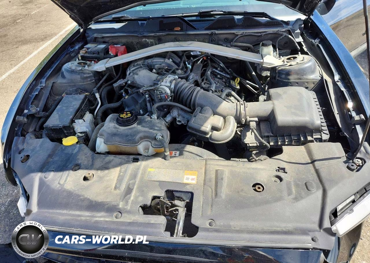 2014 Ford Mustang VIN:1ZVBP8EM6E5239252 - 11