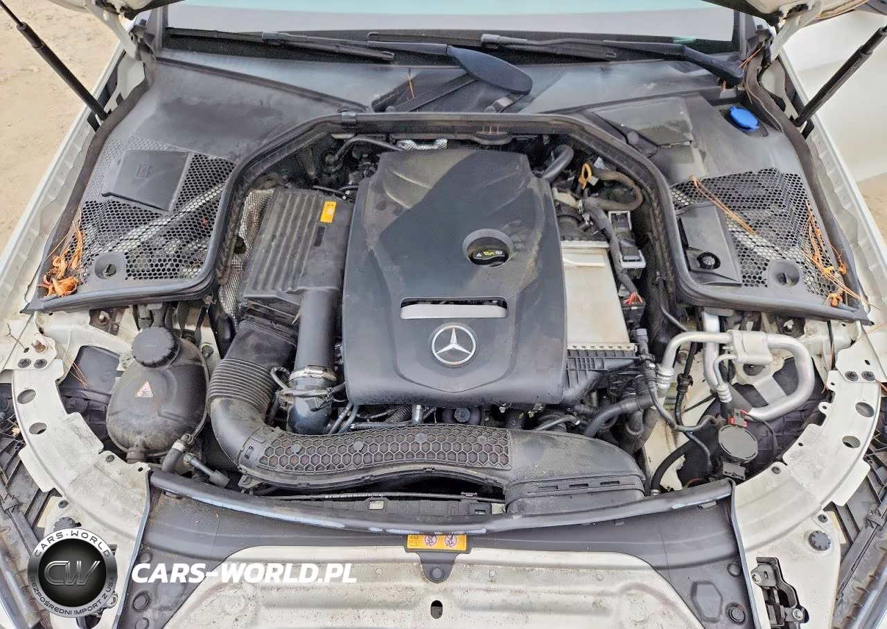 2018 Mercedes-Benz C 300 VIN:55SWF4JB6JU269931 - 11