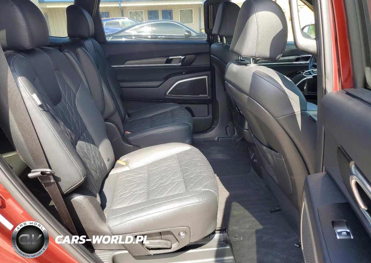 2024 Kia Telluride Ex X-Line VIN:5XYP3DGC5RG442468 - 11