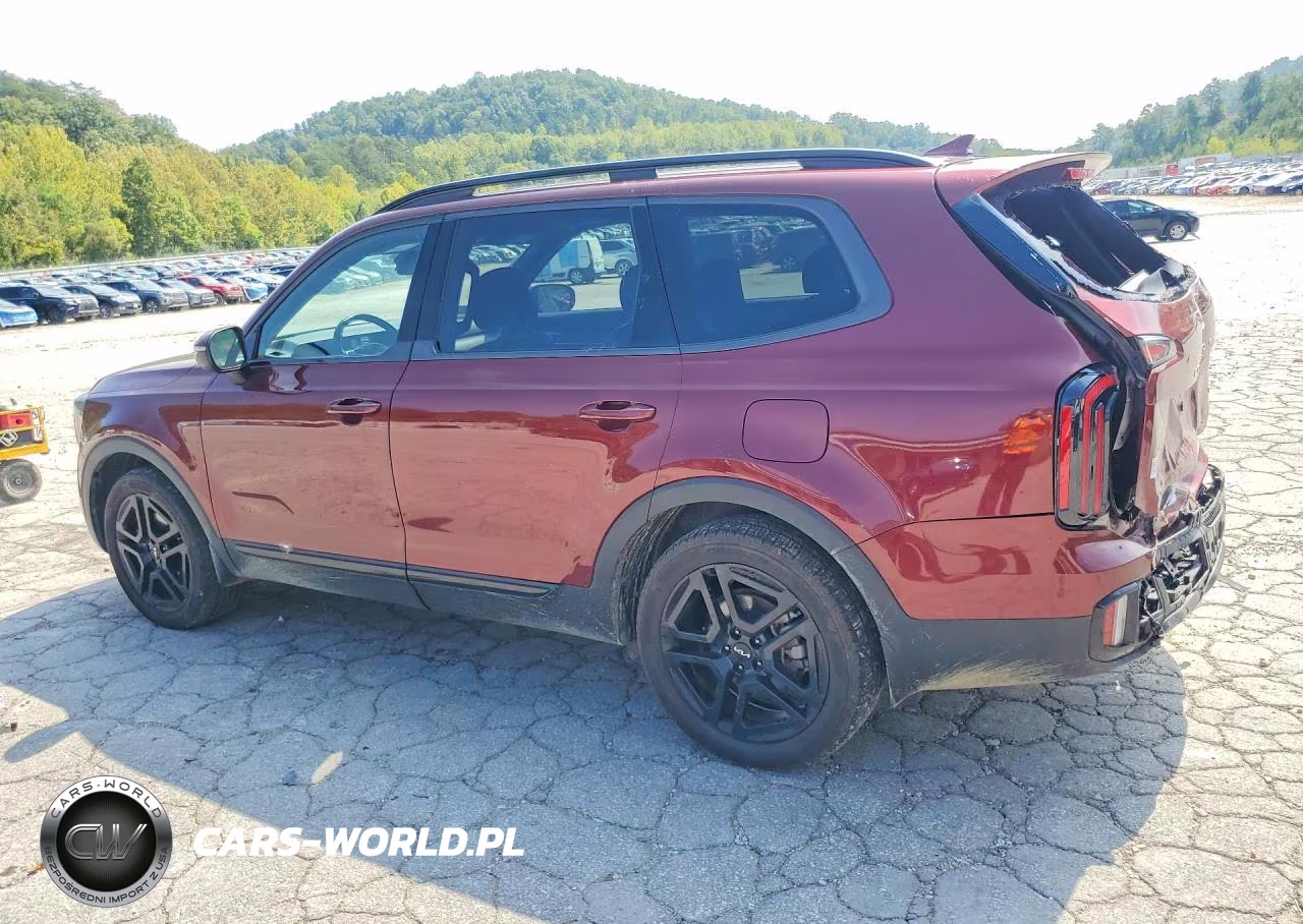2024 Kia Telluride Ex X-Line VIN:5XYP3DGC5RG442468 - 2