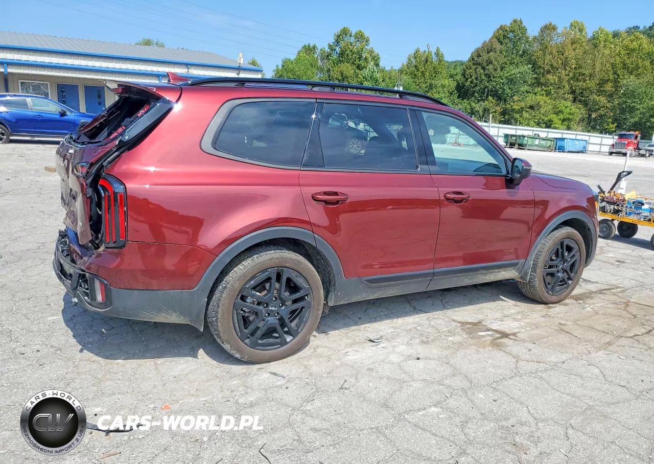 2024 Kia Telluride Ex X-Line VIN:5XYP3DGC5RG442468 - 3