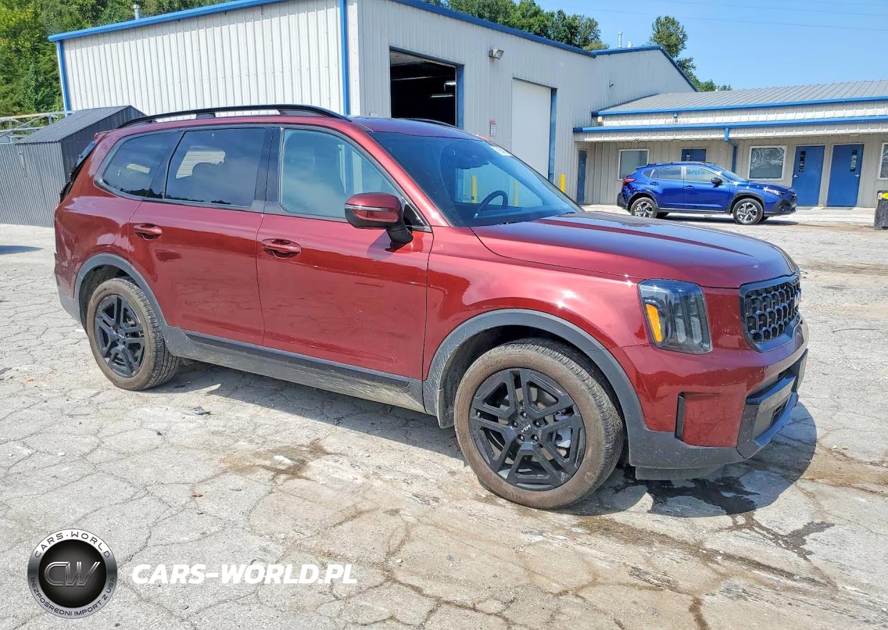 2024 Kia Telluride Ex X-Line VIN:5XYP3DGC5RG442468 - 4