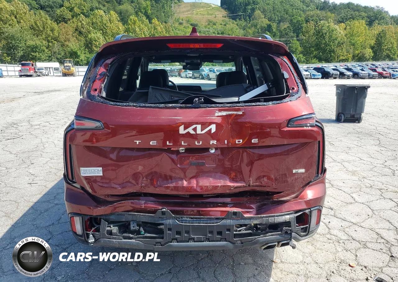 2024 Kia Telluride Ex X-Line VIN:5XYP3DGC5RG442468 - 6