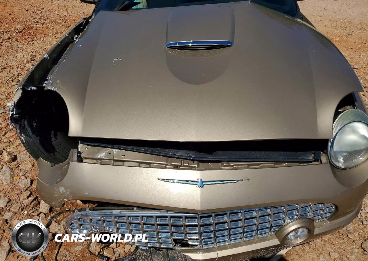 2005 Ford Thunderbird VIN:1FAHP60A05Y105291 - 11