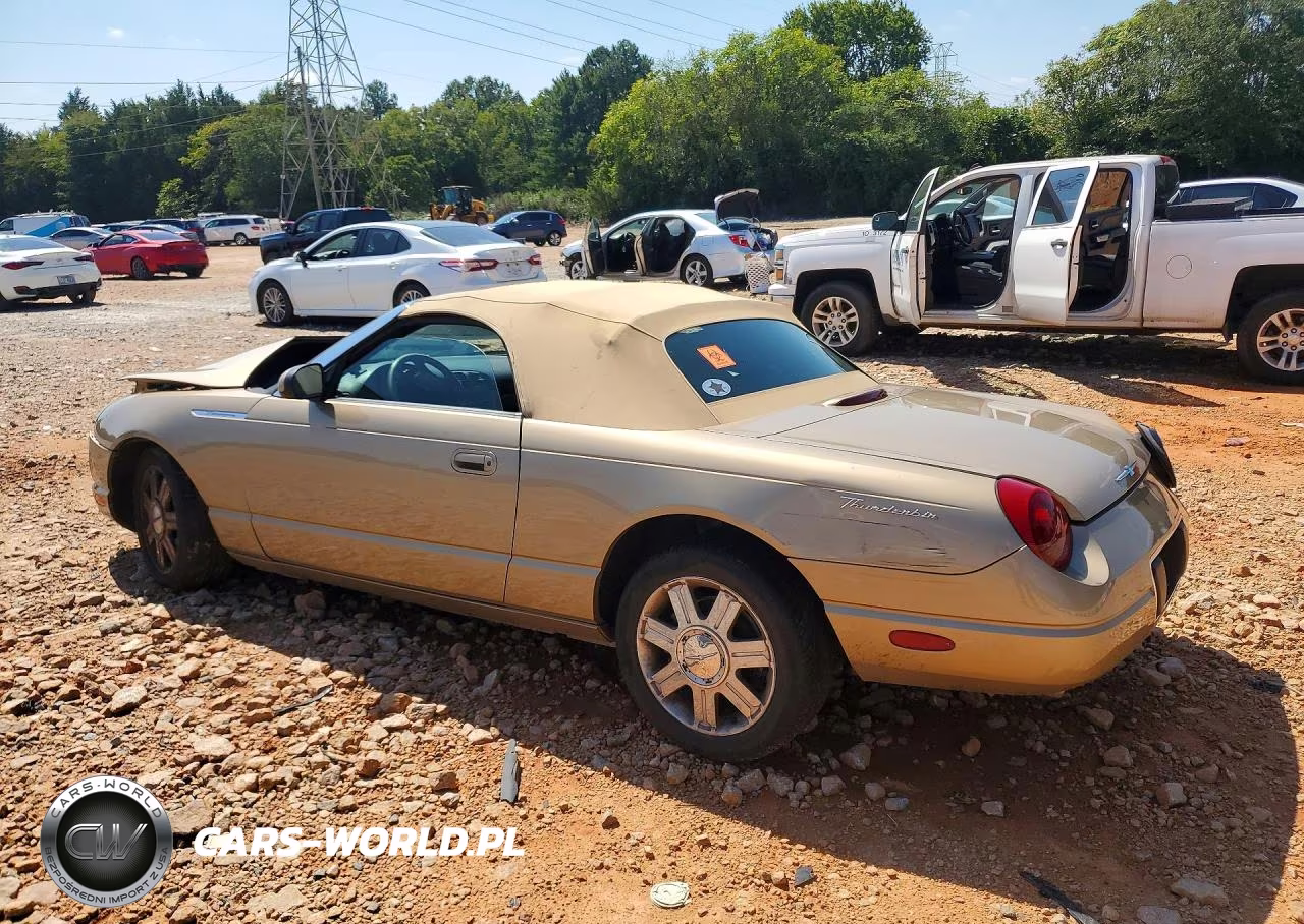 2005 Ford Thunderbird VIN:1FAHP60A05Y105291 - 2