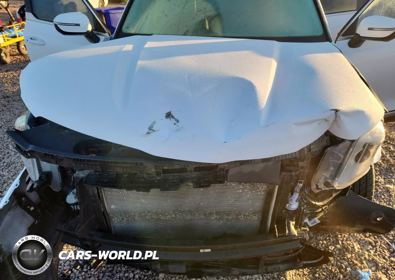 2023 Kia Telluride Lx VIN:5XYP24GC5PG360059 - 12