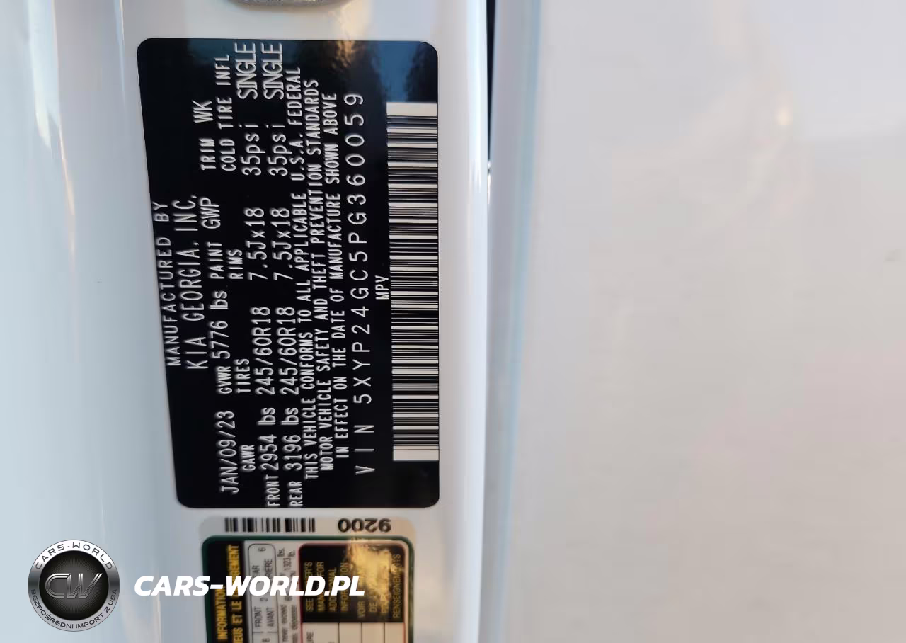 2023 Kia Telluride Lx VIN:5XYP24GC5PG360059 - 13