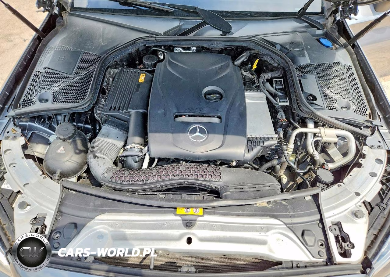2017 Mercedes-Benz C 300 VIN:WDDWK4JB7HF494061 - 11