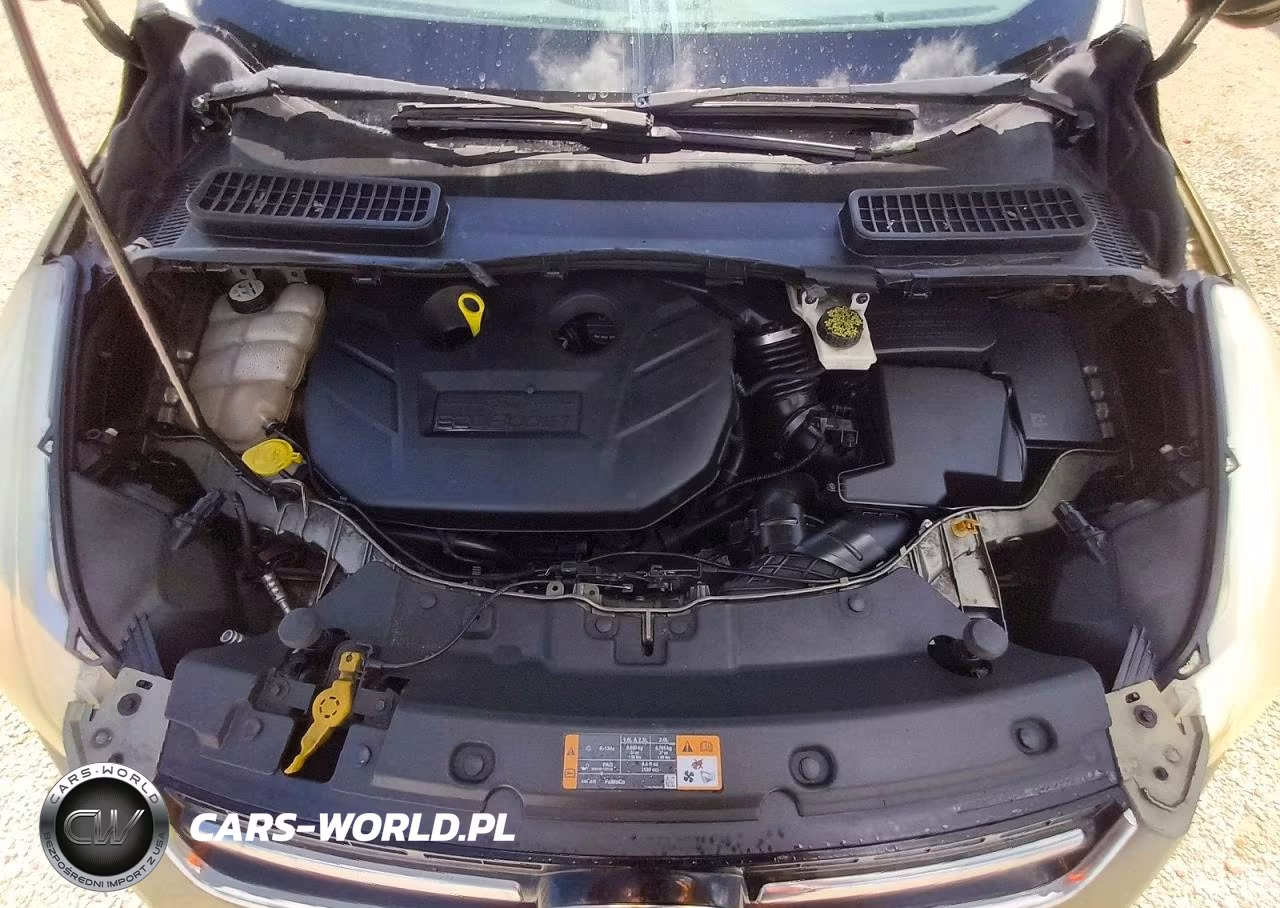 2013 Ford Escape Sel VIN:1FMCU0H96DUC03974 - 12