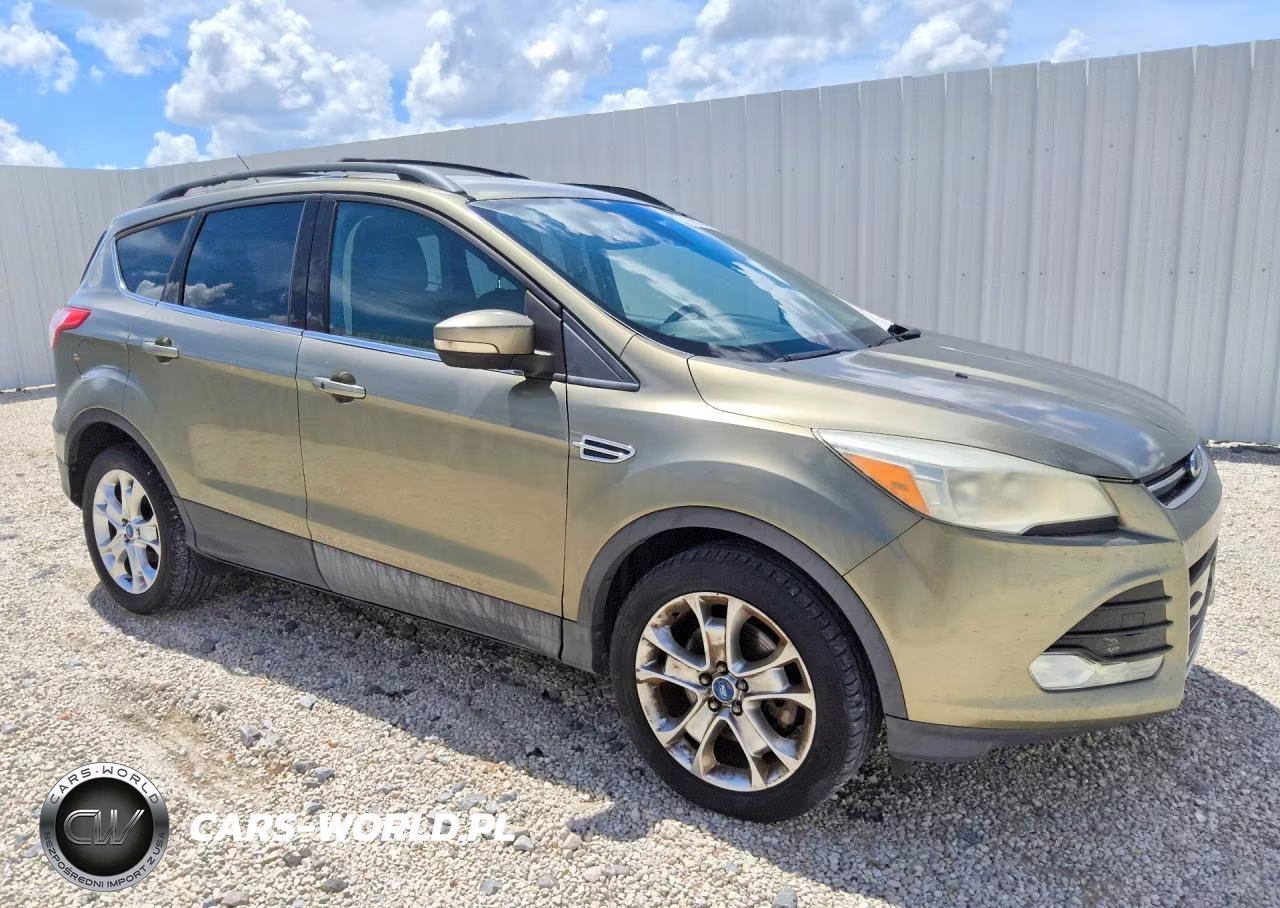 2013 Ford Escape Sel VIN:1FMCU0H96DUC03974 - 4