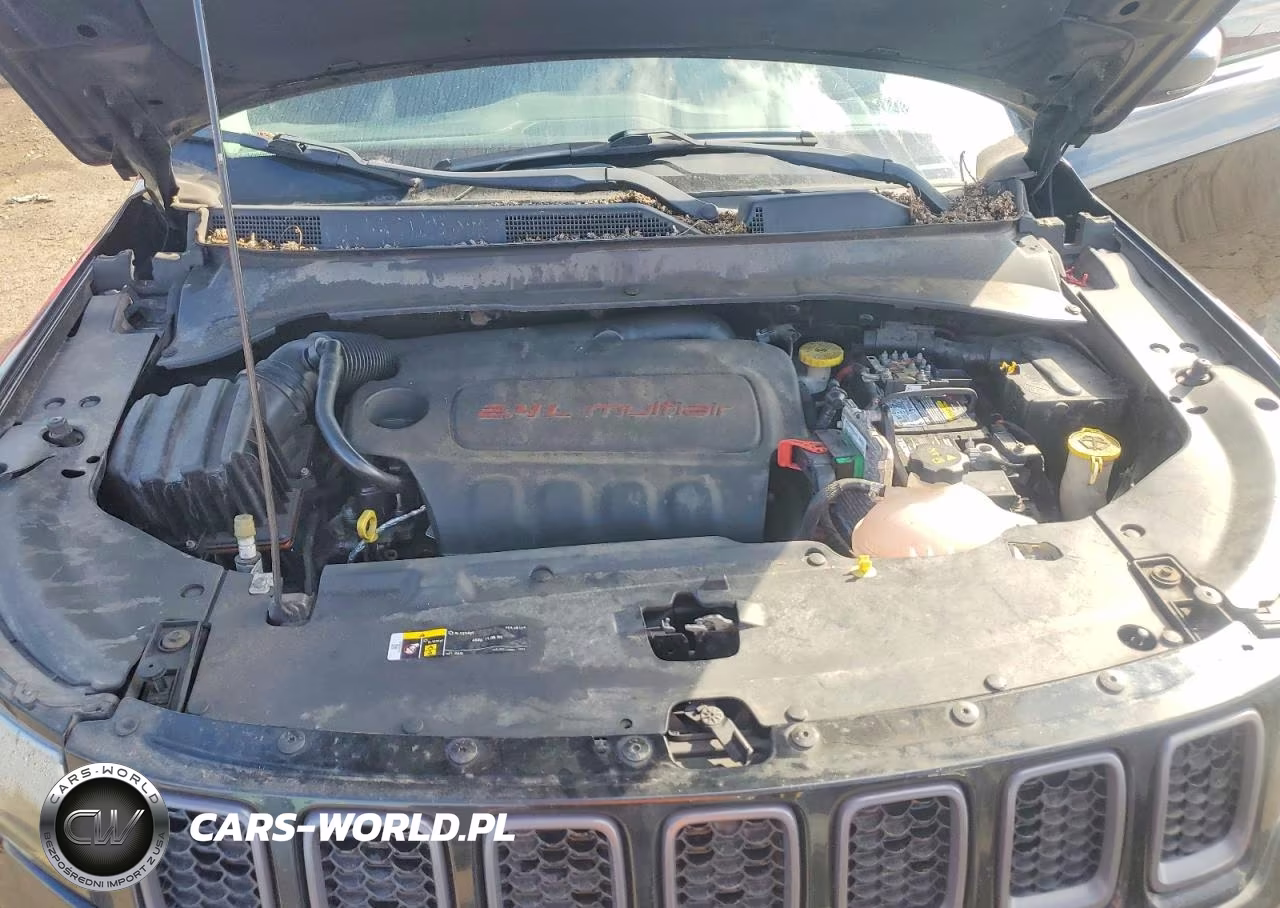 2019 Jeep Compass Trailhawk VIN:3C4NJDDB5KT665410 - 12