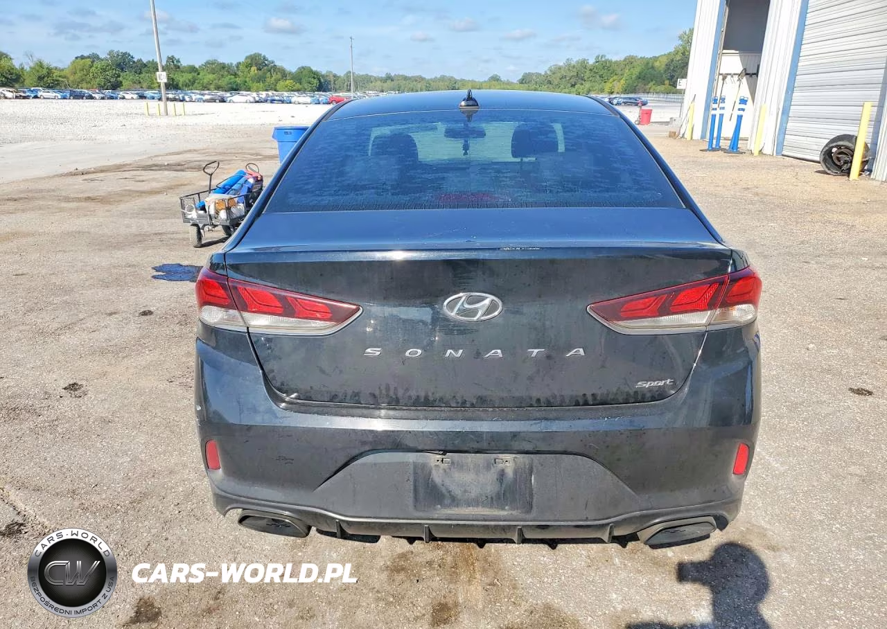 2018 Hyundai Sonata Sport+ VIN:5NPE34AF8JH703745 - 6