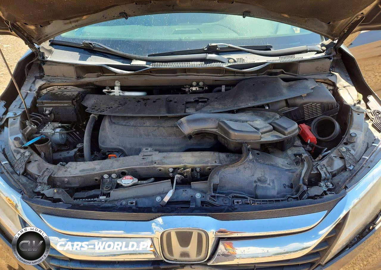 2019 Honda Odyssey Elite VIN:5FNRL6H91KB057915 - 12