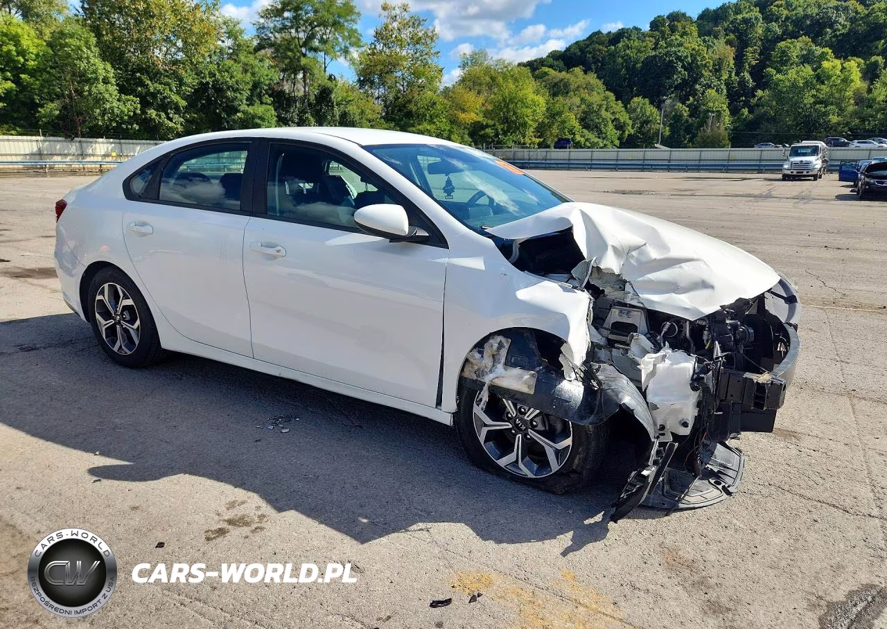 2020 Kia Forte Lxs VIN:3KPF24AD2LE143346 - 4