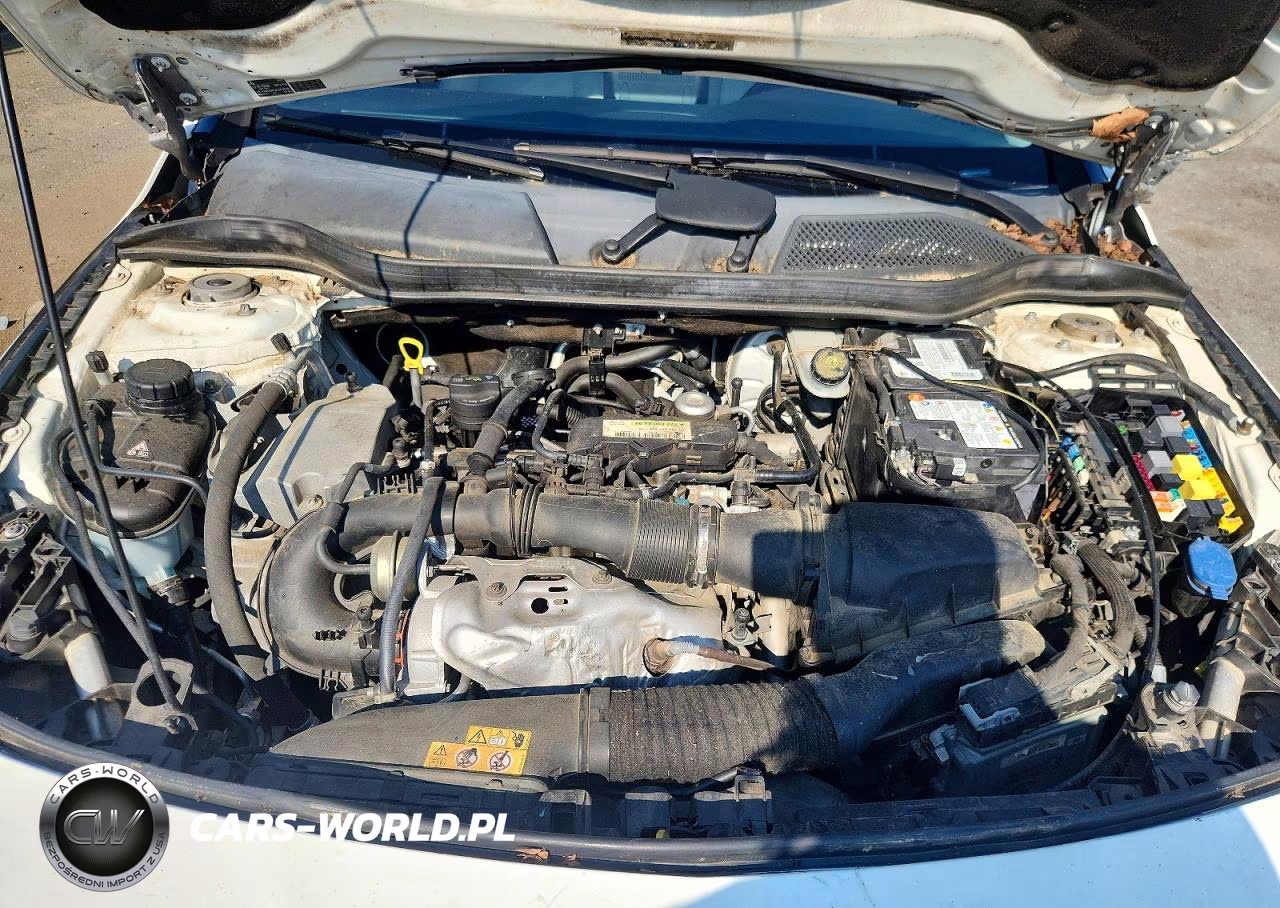2019 Mercedes-Benz Cla 250 VIN:WDDSJ4EB8KN766707 - 11