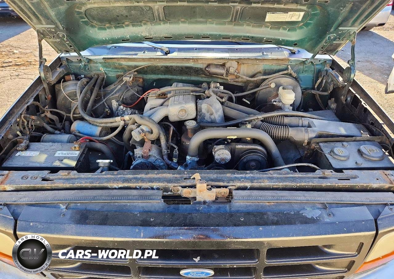 1993 Ford F150 VIN:1FTDF15Y8PNA09921 - 11