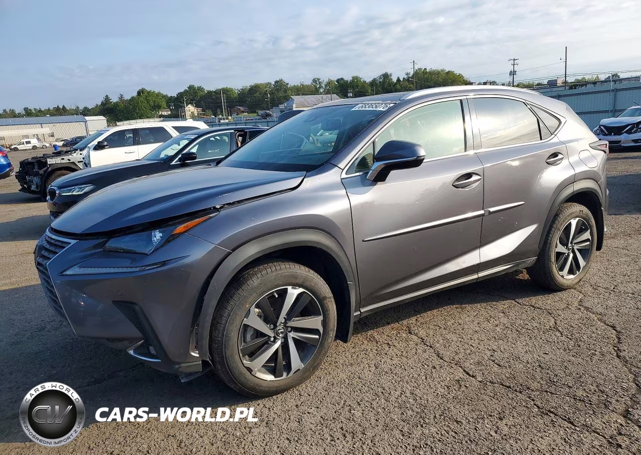 2020 Lexus Nx 300