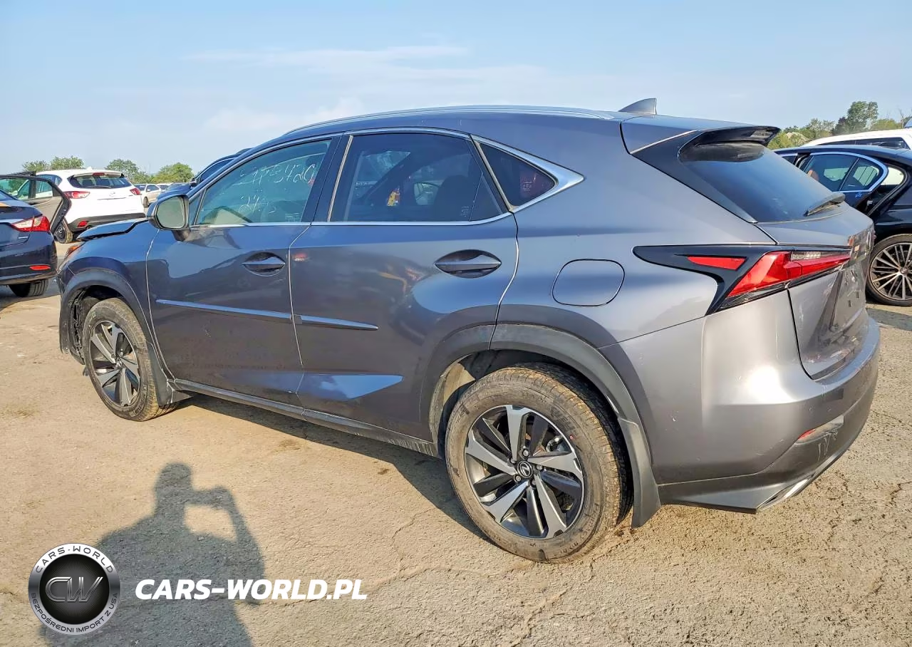2020 Lexus Nx 300 VIN:JTJGARDZ0L5004403 - 2
