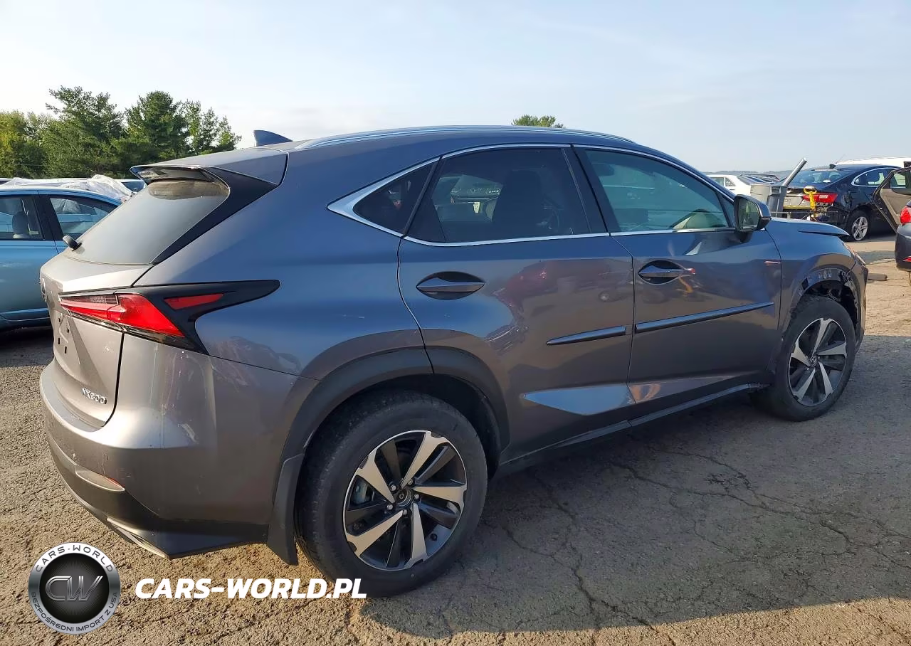 2020 Lexus Nx 300 VIN:JTJGARDZ0L5004403 - 3