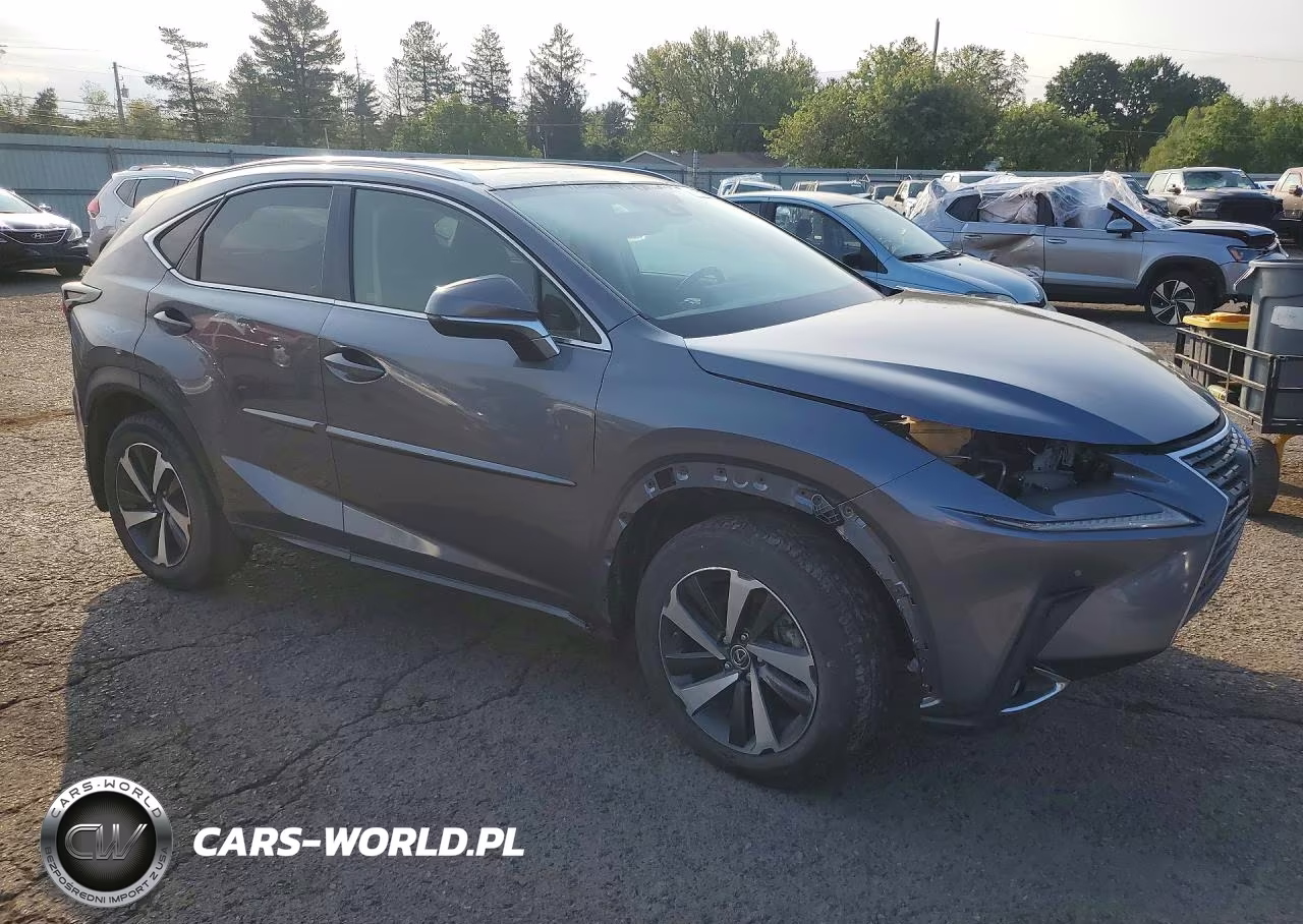 2020 Lexus Nx 300 VIN:JTJGARDZ0L5004403 - 4