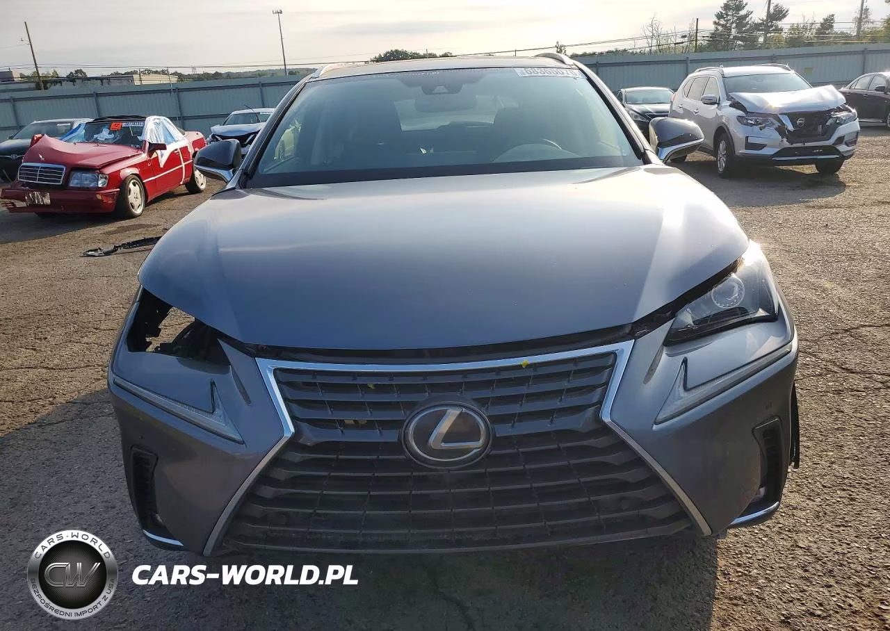 2020 Lexus Nx 300 VIN:JTJGARDZ0L5004403 - 5