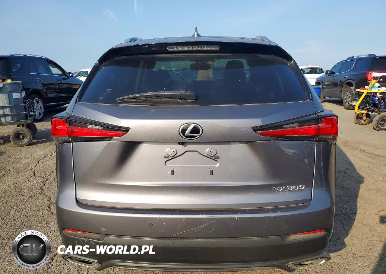 2020 Lexus Nx 300 VIN:JTJGARDZ0L5004403 - 6