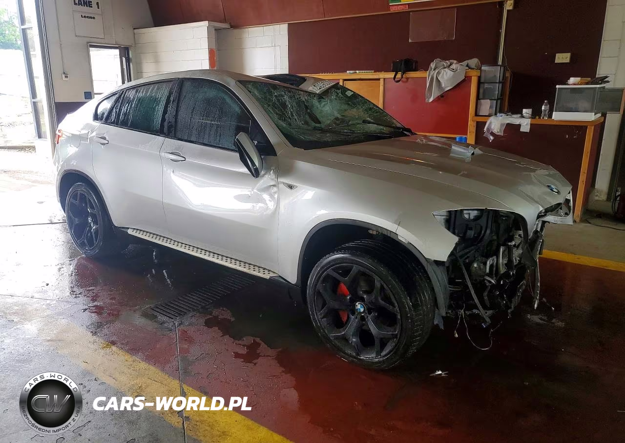 2013 BMW X6 xDrive35I VIN:5UXFG2C51DL786662 - 4