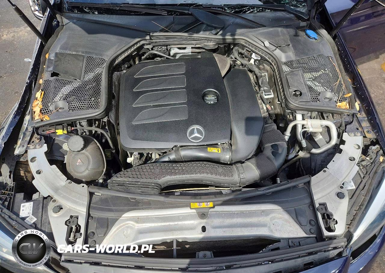 2019 Mercedes-Benz C 300 4Matic VIN:55SWF8EB9KU306036 - 11