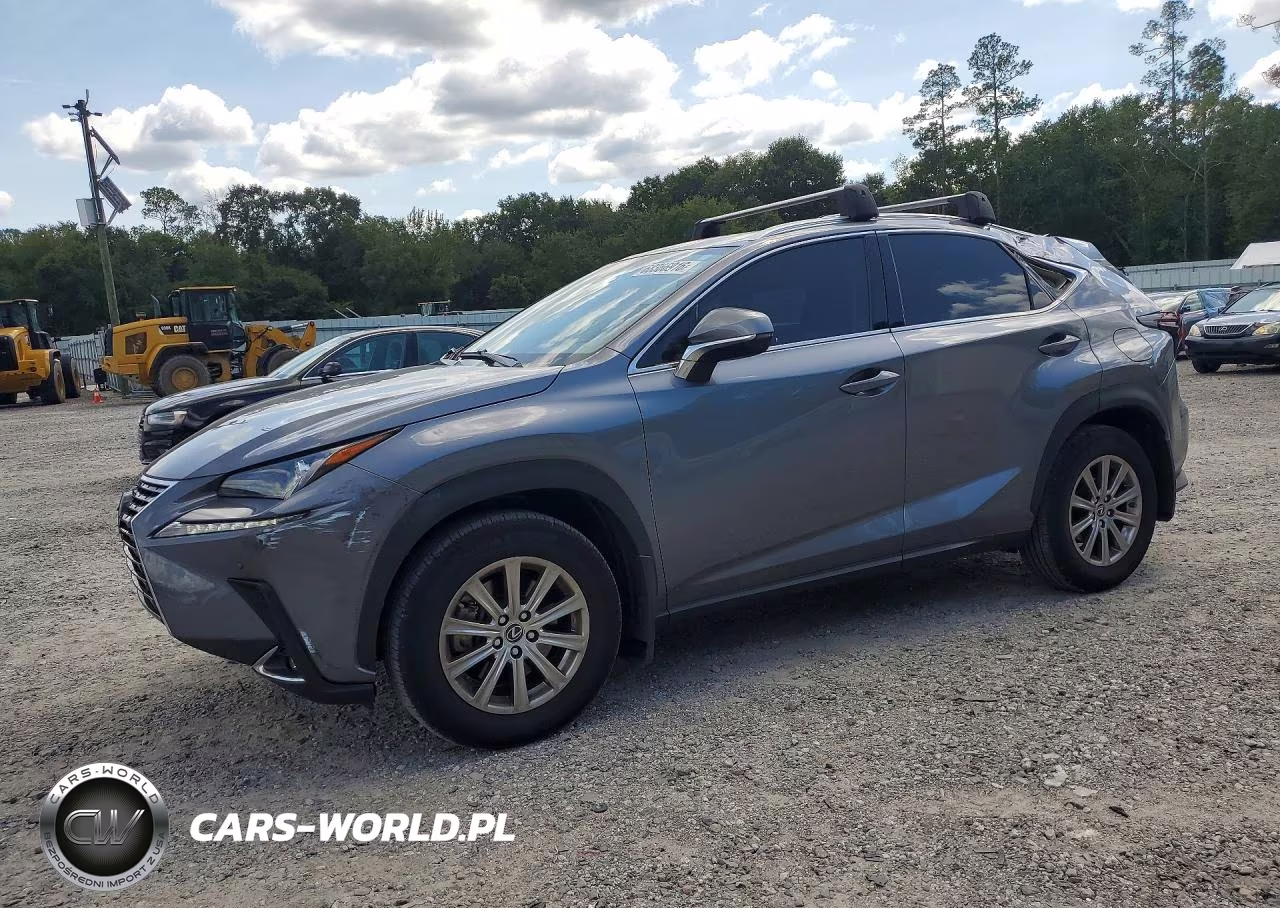 2021 Lexus Nx 300 Base VIN:JTJDARBZ7M2184634 - 1