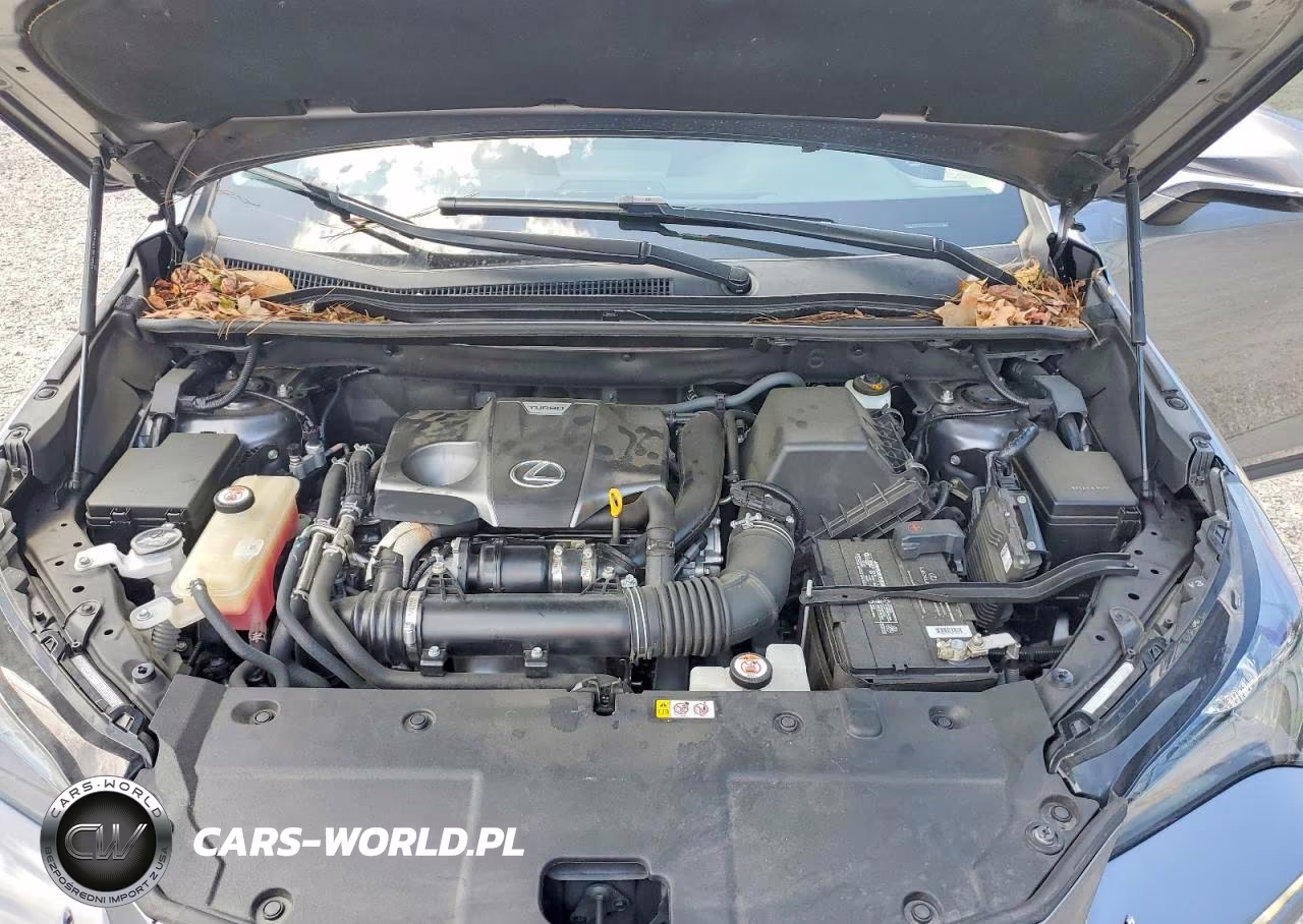 2021 Lexus Nx 300 Base VIN:JTJDARBZ7M2184634 - 12