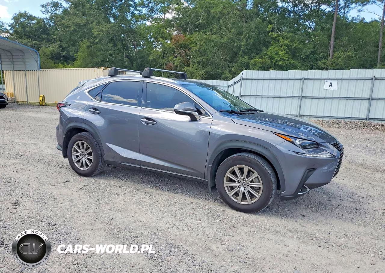 2021 Lexus Nx 300 Base VIN:JTJDARBZ7M2184634 - 4