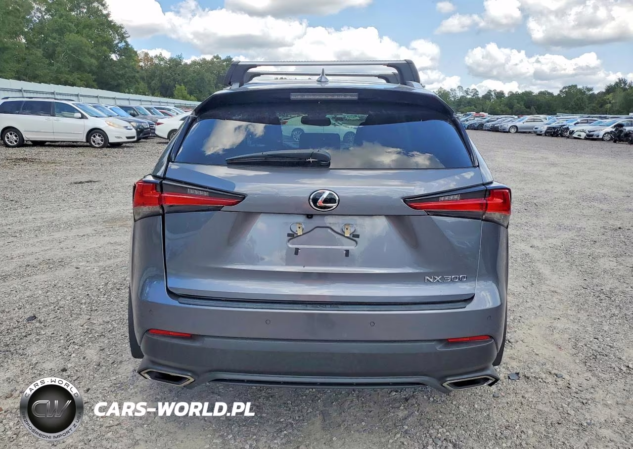 2021 Lexus Nx 300 Base VIN:JTJDARBZ7M2184634 - 6