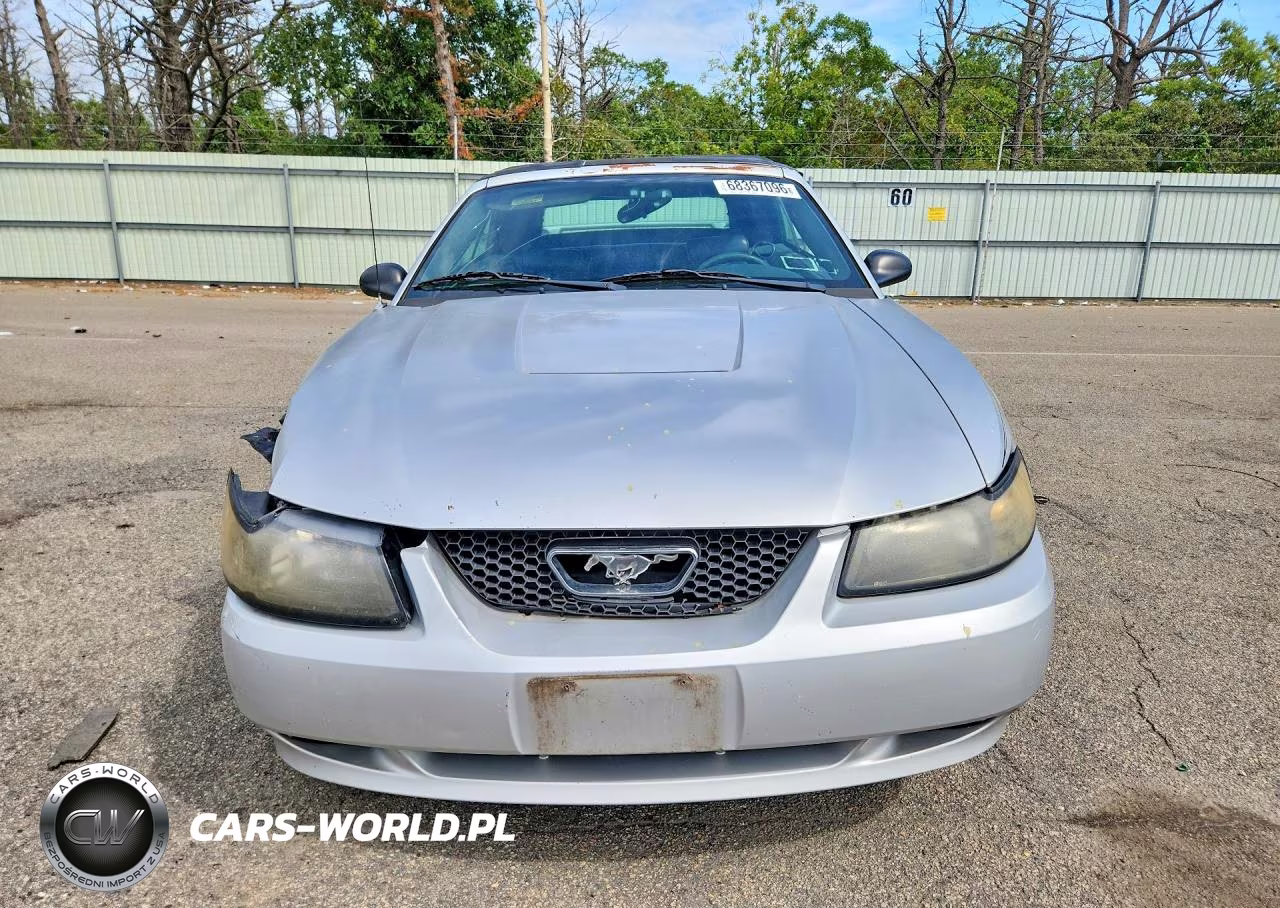 2003 Ford Mustang VIN:1FAFP44453F314230 - 5