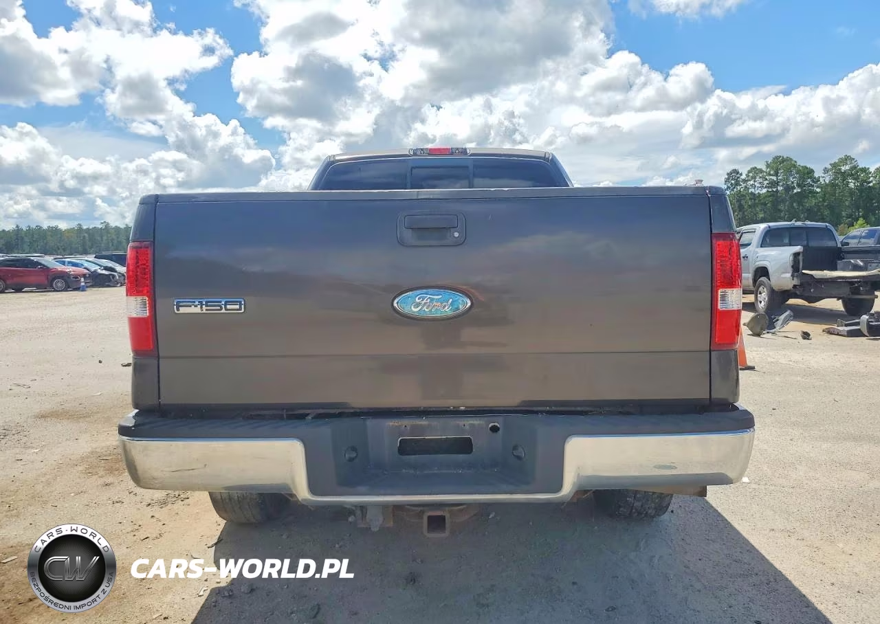 2006 Ford F150 VIN:1FTPX12V36NA95058 - 6