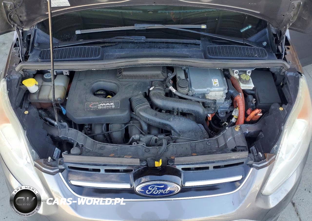 2013 Ford C-Max Premium VIN:1FADP5CU5DL539992 - 12