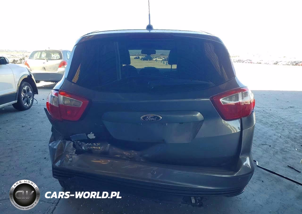 2013 Ford C-Max Premium VIN:1FADP5CU5DL539992 - 6