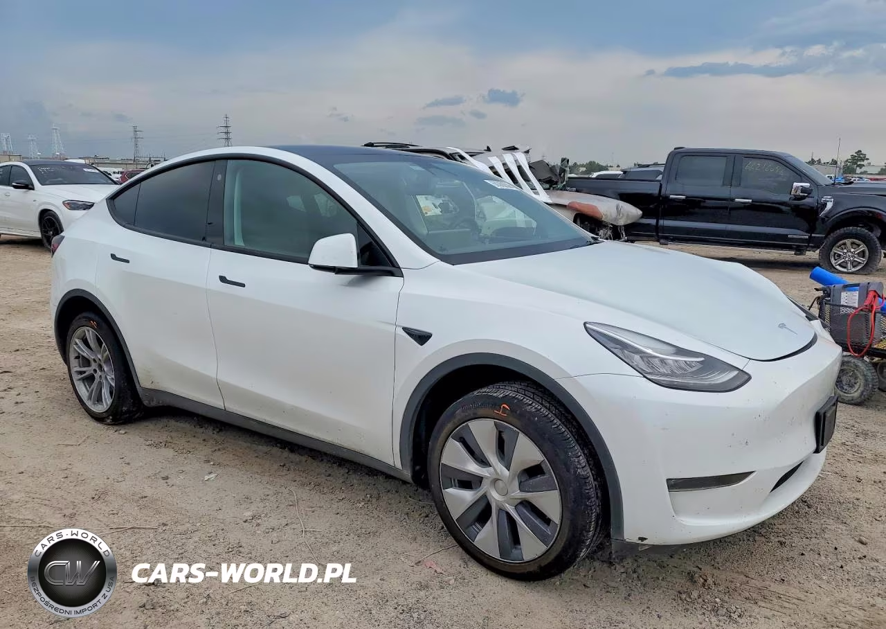2023 Tesla Model Y VIN:7SAYGDEEXPA057375 - 4