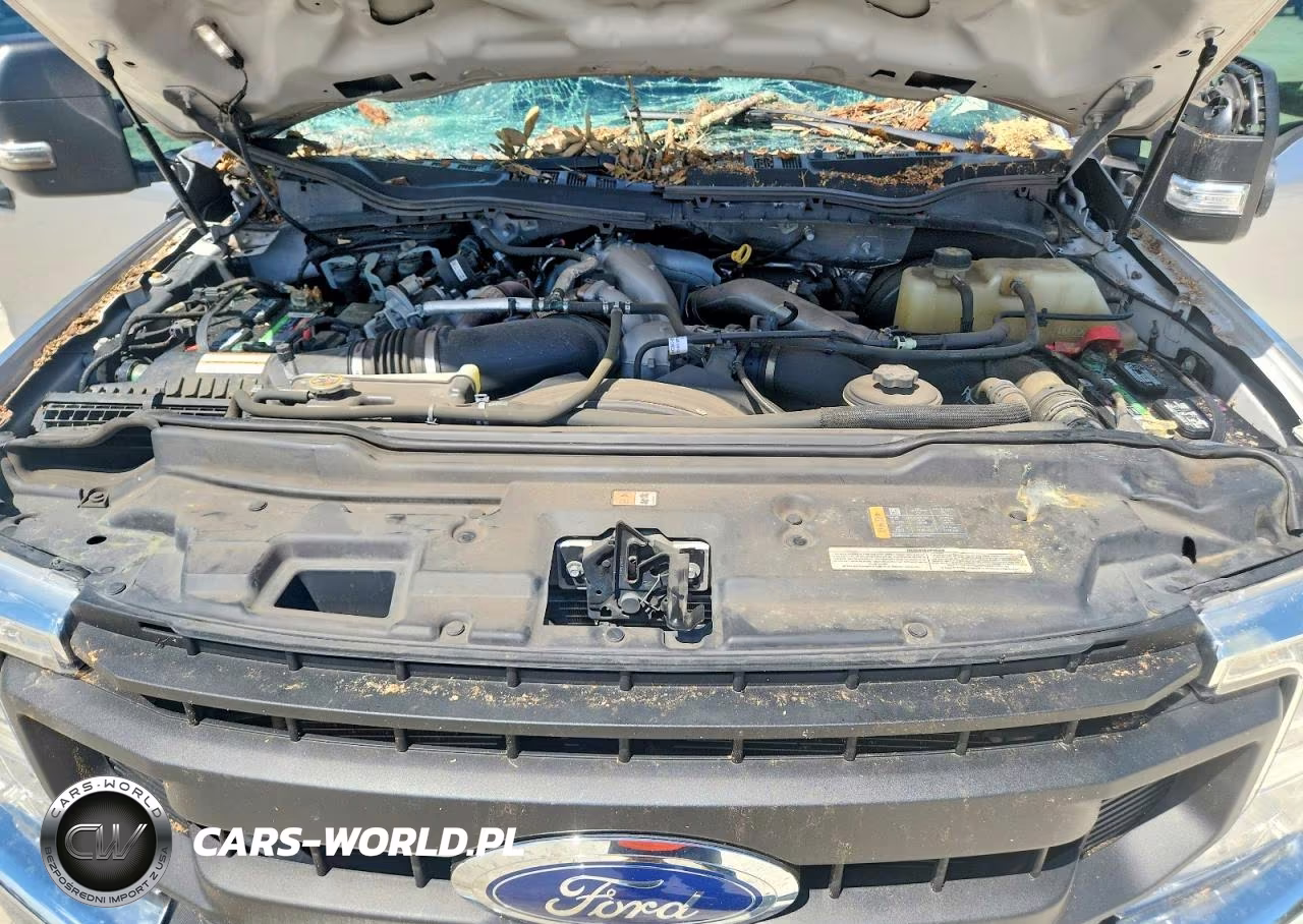2020 Ford F350 Super Duty VIN:1FT8W3BT0LEE99786 - 11