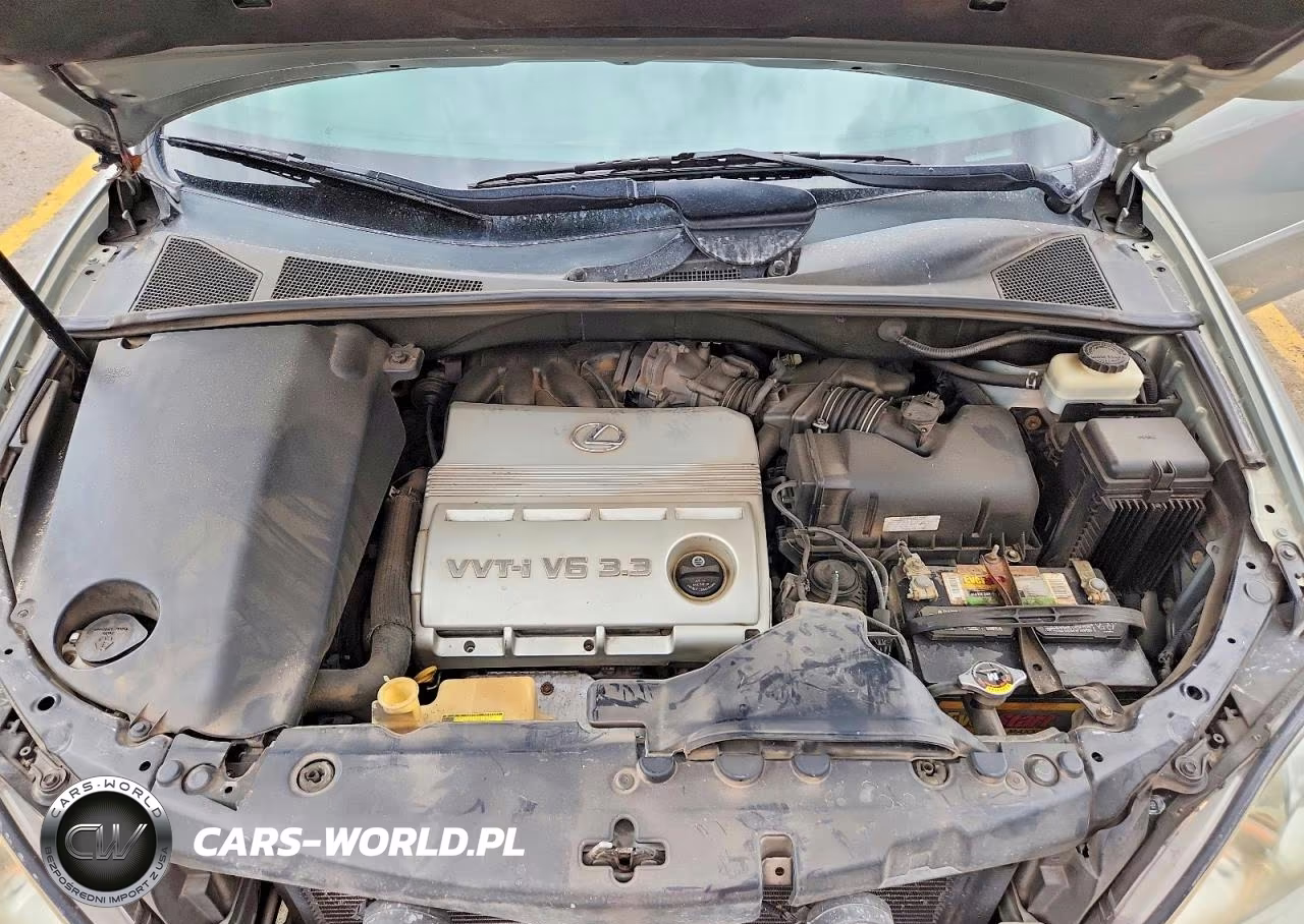 2006 Lexus Rx 330 VIN:2T2HA31U36C094436 - 12