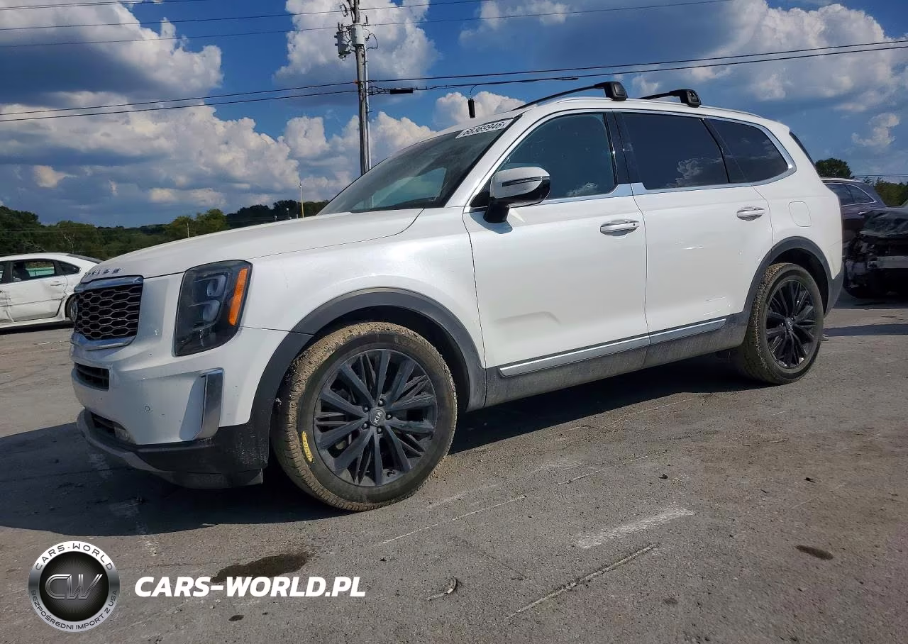 2020 Kia Telluride Sx VIN:5XYP5DHC6LG024372 - 1