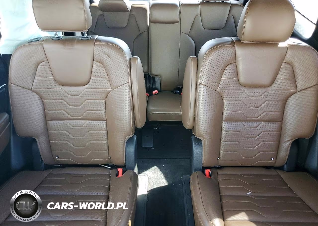 2020 Kia Telluride Sx VIN:5XYP5DHC6LG024372 - 10